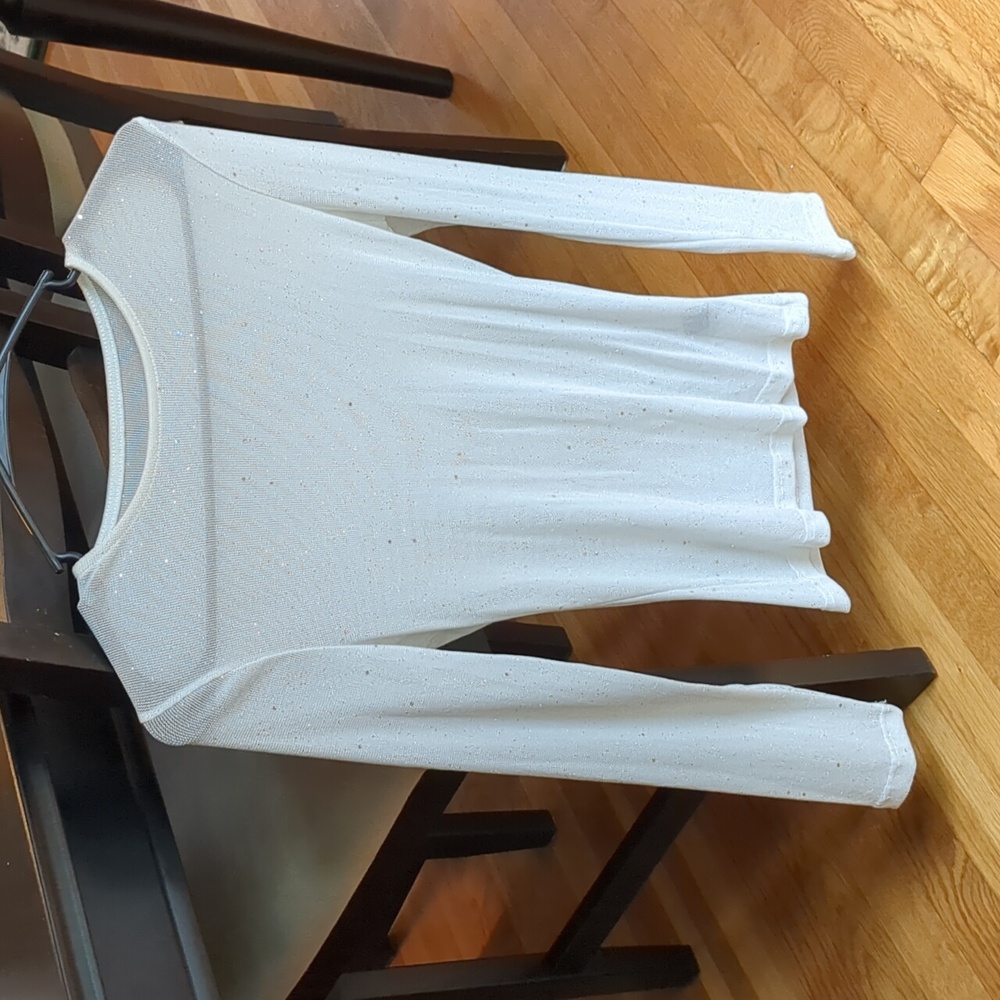 Shimmering Silver Mesh Top